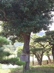 栗林公園