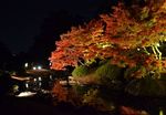 栗林公園
